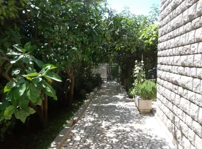 a garden path with trees and a brick wall at Guest House 4M Gregović in Petrovac na Moru