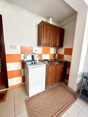 a small kitchen with a stove and a dishwasher at Apartmane Đekovic in Ulcinj