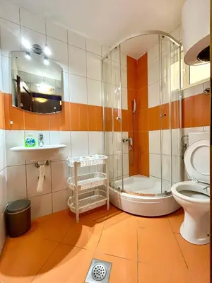 a bathroom with a shower and a toilet and a sink at Apartmane Đekovic in Ulcinj
