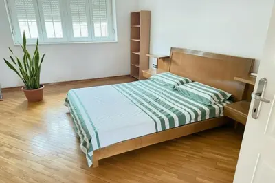 a bedroom with a bed and a potted plant at Cozy central spot in Podgorica