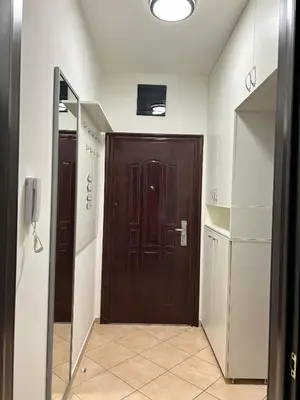 a hallway with a brown door and a mirror at Urban studio City kvart in Podgorica