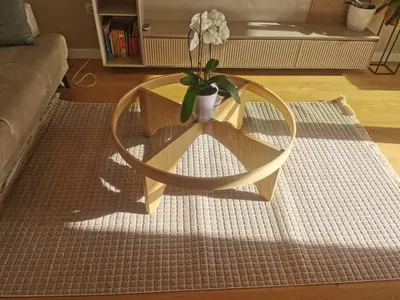 a table with a potted plant on top of a rug at OLIVA RESIDENCe in Petrovac na Moru