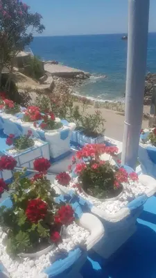 a group of flowers in pots on a table near the beach at Apartmani Micunovic in Sutomore
