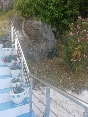 a set of stairs with potted plants on them at Apartmani Micunovic in Sutomore