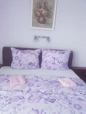 a bed with two pillows and a picture on the wall at Apartmani Micunovic in Sutomore