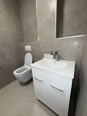 a bathroom with a toilet and a sink and a mirror at Bozovic Apartman 2 in Budva