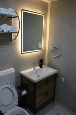 a bathroom with a sink and a toilet and a mirror at Luxury Apartment-Aurora 33 Free Parking City Center in Podgorica