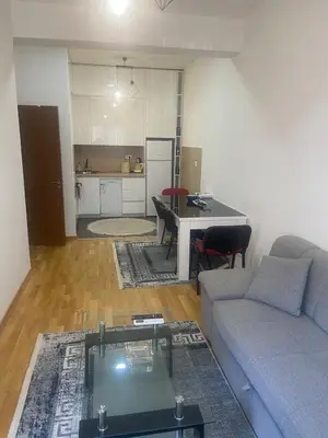 a living room with a couch and a table at Modern 1BR Apartment in Ljubović Podgorica in Podgorica