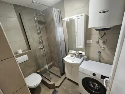 a bathroom with a shower and a toilet and a sink at Apartment Under the Palm Tree in Budva