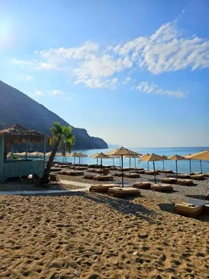 a beach with umbrellas and a palm tree and the ocean at Exclusive penthouse with stunning panoramic views in Prijevor