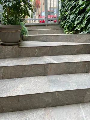 a set of concrete stairs with a potted plant at Lupo in Budva