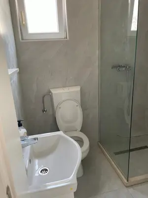 a bathroom with a toilet and a shower and a sink at Apartment Lupo in Budva