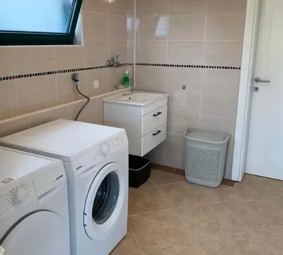 a laundry room with a washing machine and a sink at Villa Andrea Lower Level in Kavač