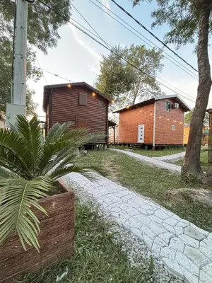 a house with a palm tree next to a building at Ada Bojana River House 1 in Ulcinj
