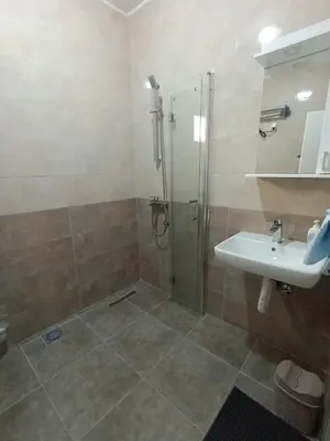 a bathroom with a shower and a sink at Martins Apartments in Dobra Voda
