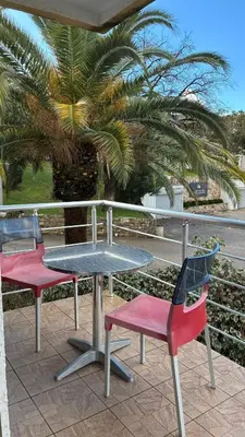 a table and two chairs on a patio with a palm tree at Apart Ludmila in Becici