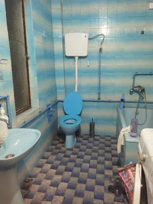 a bathroom with a blue toilet and a sink at Montenegrin vintage house in Mojanovići