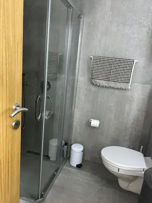 a bathroom with a shower and a toilet at Apartment Cactus in Ulcinj