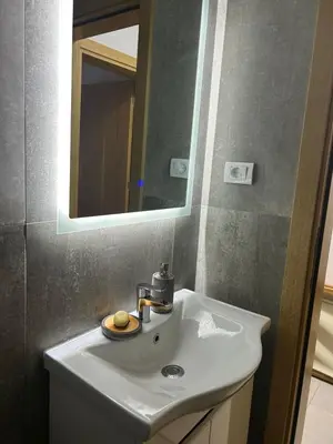 a bathroom with a white sink and a mirror at Apartment Cactus in Ulcinj