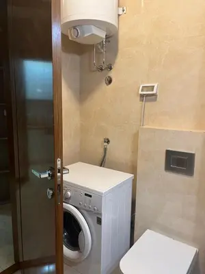 a small bathroom with a washing machine and a toilet at Central Podgorica Suite in Podgorica