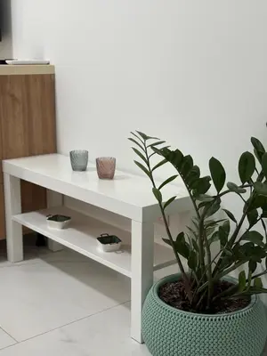 a white table with a potted plant next to it at Val Apartment, Przno in Budva
