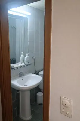 a bathroom with a sink and a toilet and a mirror at Apartman Vuk in Rafailovici