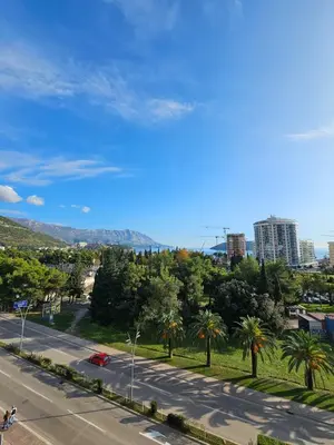 a city street with palm trees and a road at Kadmo Sea View Apartment in Budva