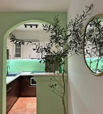 a kitchen with a plant and a mirror on the wall at Blue Sea apartment Petrovac in Petrovac na Moru