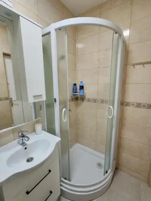 a bathroom with a shower and a sink at Veli Vinogradi in Budva