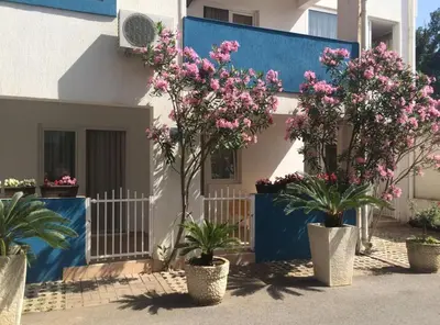 a group of trees with pink flowers in front of a building at Apartments Aleksić, Bečići in Becici