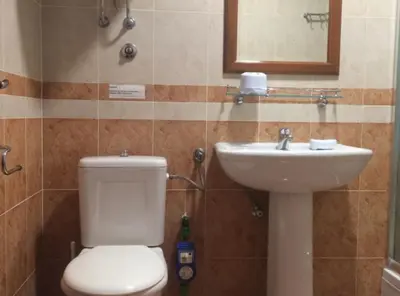 a bathroom with a toilet and a sink at Apartments Aleksić, Bečići in Becici
