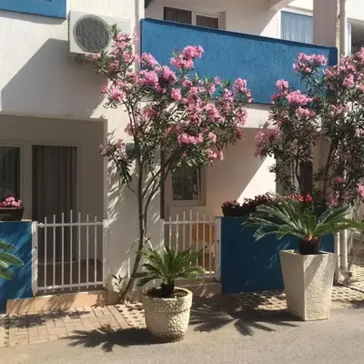 Apartments Aleksić