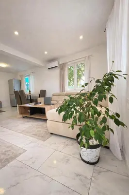 a living room with a couch and a potted plant at Radon apartments in Dobra Voda