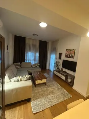 a living room with a couch and a table at Apartmani Masa in Podgorica