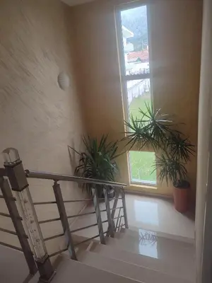 a staircase with two potted plants and a window at Bar ,2 sobni stan ,Namaste ! in Bar