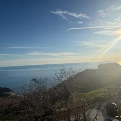 Njaro del Mar Zukovica 2