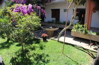 a garden with plants and flowers in a yard at Apartments Sunpoint in Ulcinj