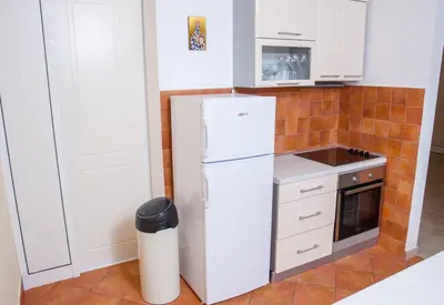a kitchen with a white refrigerator and a stove at Villa Edelweiss in Sveti Stefan