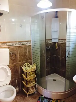 a bathroom with a shower and a toilet at Holiday Home Mikki in Dobra Voda