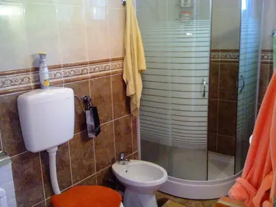 a bathroom with a shower and a toilet and a sink at Holiday Home Mikki in Dobra Voda