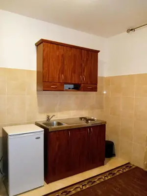 a kitchen with wooden cabinets and a sink at Apartments Old Olive in Bar