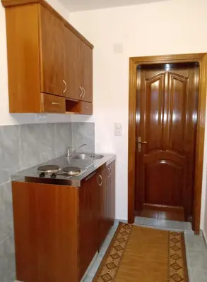 a kitchen with a sink and a wooden door at Apartments Old Olive in Bar