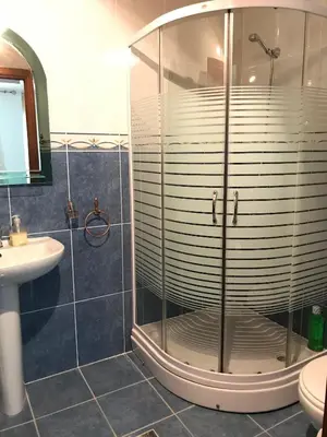 a bathroom with a shower and a sink at Apartments Old Olive in Bar