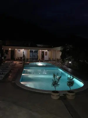a swimming pool at night with two plants in pots at Vila Laguna in Sutomore