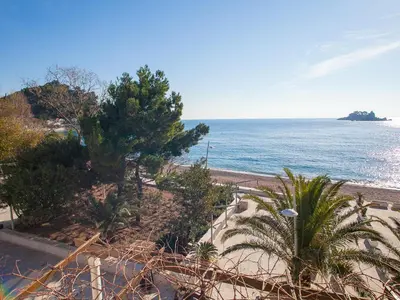 a view of a beach with a tree and the ocean at Apartments Adria in Petrovac na Moru