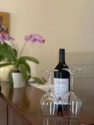 a bottle of wine and two wine glasses on a counter at Apartment Benvenuti in Kotor