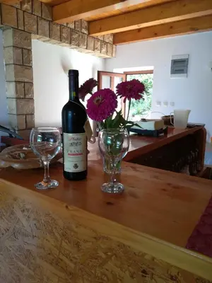 a bottle of wine and two glasses on a table at Holiday home Raduš in Virpazar