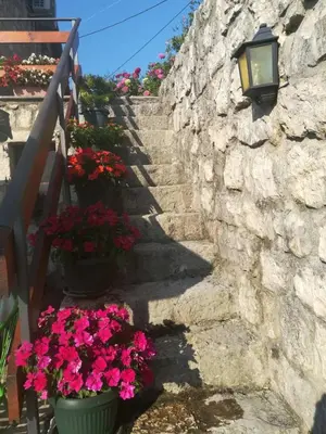 a stone stairway with flowers and a street light at Holiday home Raduš in Virpazar