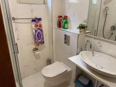a bathroom with a shower and a toilet and a sink at Apartment Dragan in Budva