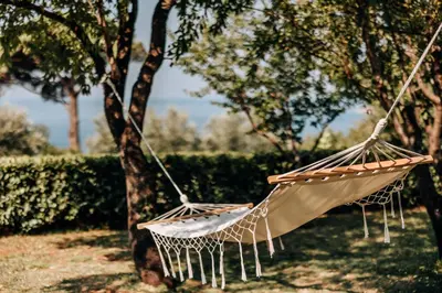 two hammocks hanging from a tree in a park at Talići Hill - Rustic Villas in Sutomore